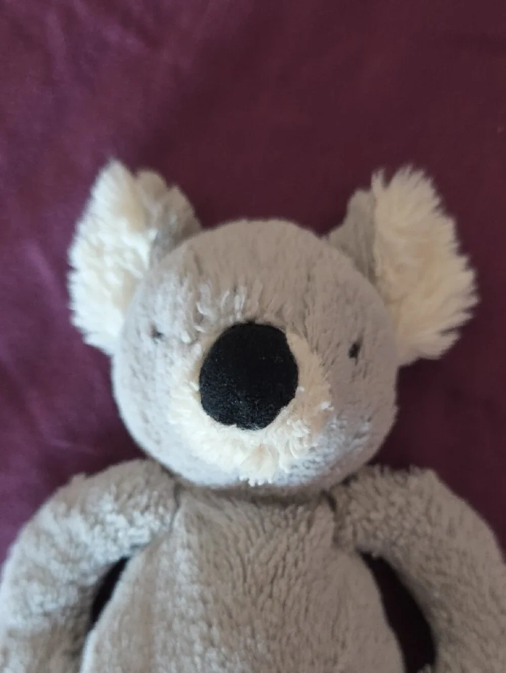 Jellycat Gray and Cream Koala Plush Toy